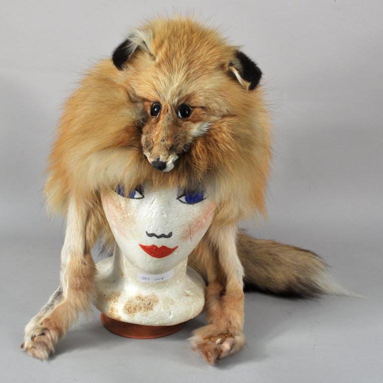 Red Fox Fur Ladies Head Garment: Red fox fur, fashioned as ladies head garment.