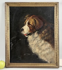 O/B Canine Portrait of St. Bernard
