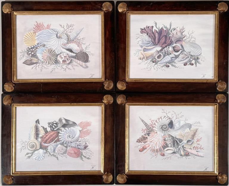Four B.Z. Framed Shell Prints (1 of 5)