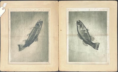 Two A. Wydeveld Game Fish Prints