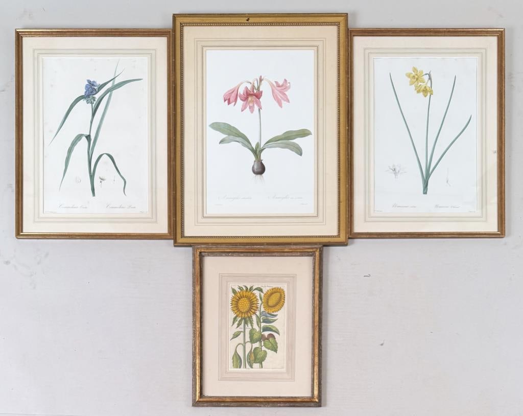 Four Framed Floral Engravings (1 of 8)