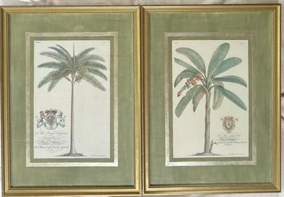 Two Framed Tree Engravings