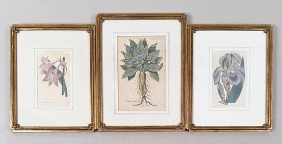 Group Three Gilt Framed Floral Engravings