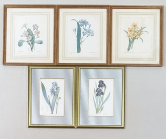 Five Framed Floral Engravings