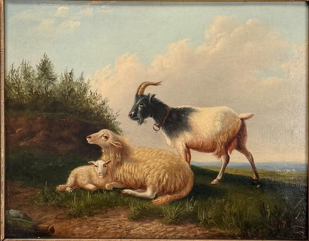 H.L. Hill, Goat & Sheep In Pasture - 2
