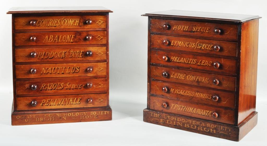 Pair English & Scottish Wooden Specimen Cabinets: Pair of English and Scottish wooden specimen cabinets, 19th C., both with gilt hand lettered drawers, the first titled on base "Oceanic Conchology Society of Brighton & Hove" with six drawers includin