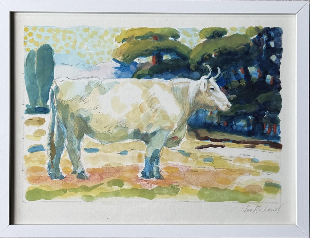J. Richmond, Watercolor of Bull (1 of 4)