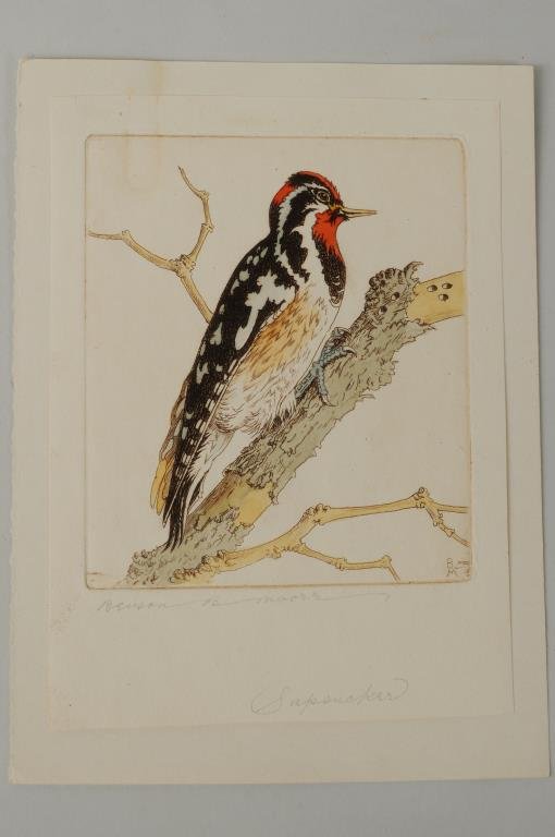 Benson Bond Moore "Sapsucker" Etching: Benson Bond Moore (American, 1882-1974), "Sapsucker" colored etching, signed, titled in pencil. Sheet 5 5/8" high, 4 1/8" wide.