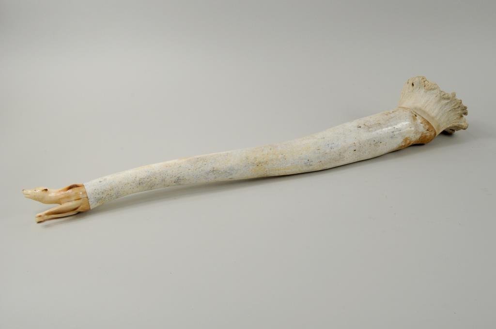Inuit Walrus Decorated Oosik: Inuit walrus decorated oosik with carved antler face at one end, bust of fossil ivory dog at other, signed "Joe Menauq Pungowiyi '93". 22 1/4" long, 4" wide.