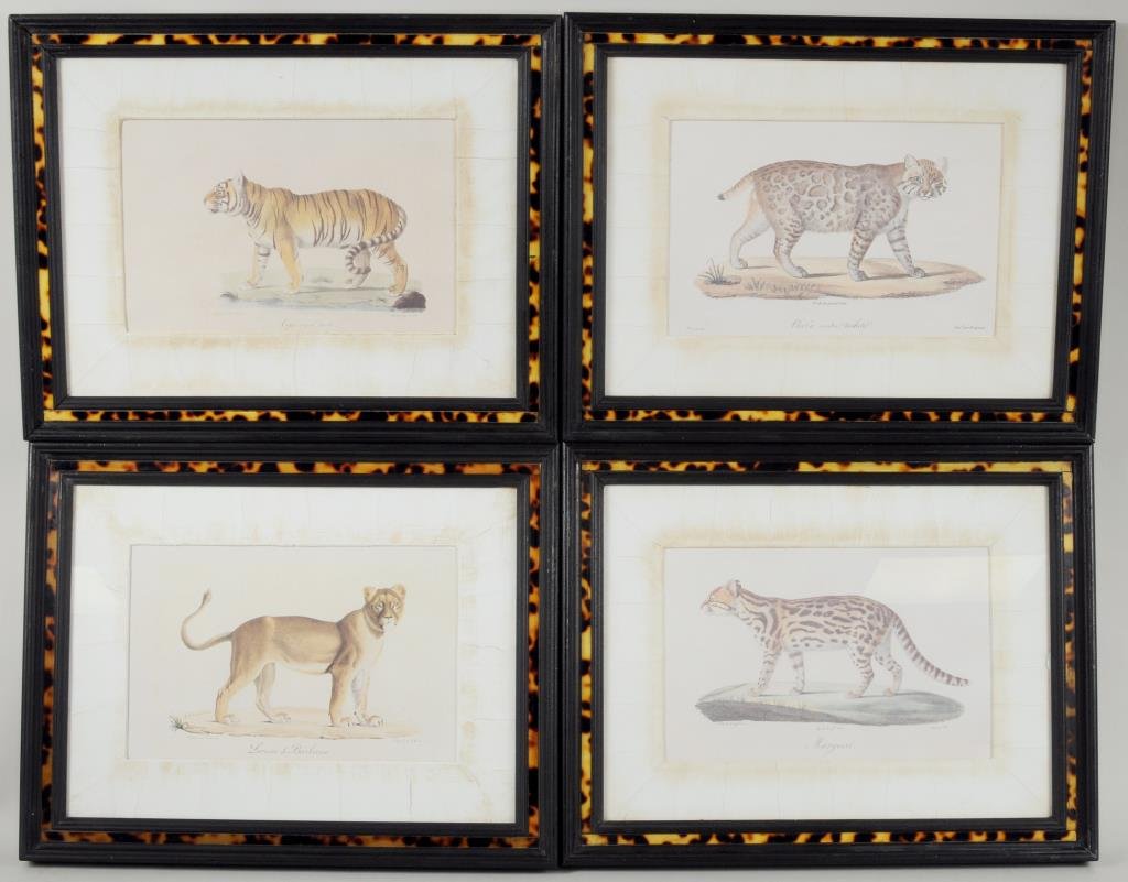 Group of Four Decorative Exotic Cat Prints: Group of four decorative exotic cat prints. Framed, not examined out of frame. Sight size: 6 1/4" high, 9 3/4" wide. Frame size: 12 1/4" high, 16 1/4" wide.