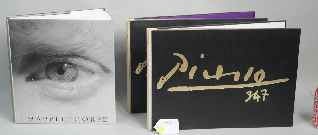 Group Fine Arts Books Picasso, Mapplethorpe (1 of 5)