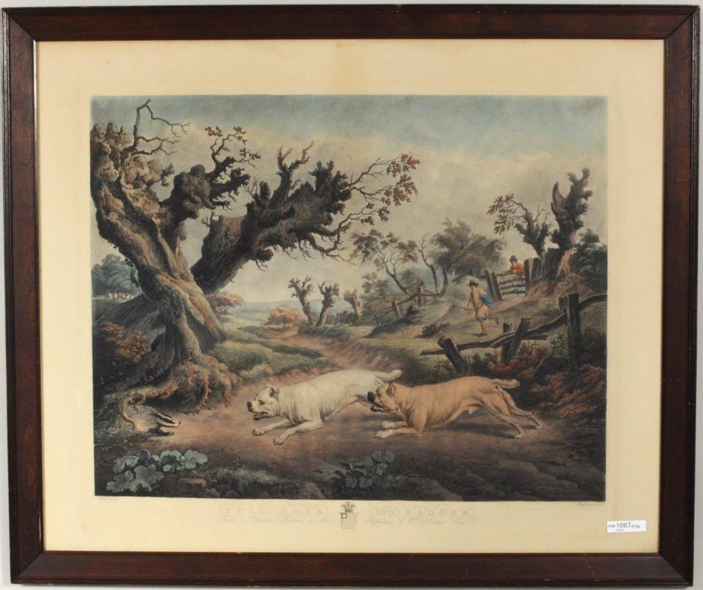 Framed English Engraving "Bulldogs & Badger": Framed English hand colored engraving "Bulldogs and Badger". Not examined out of frame. Sight size: 22 3/4" high, 27 1/2" wide. Frame size: 25 3/4" high, 30 3/4" wide. Condition: small stain upper lef