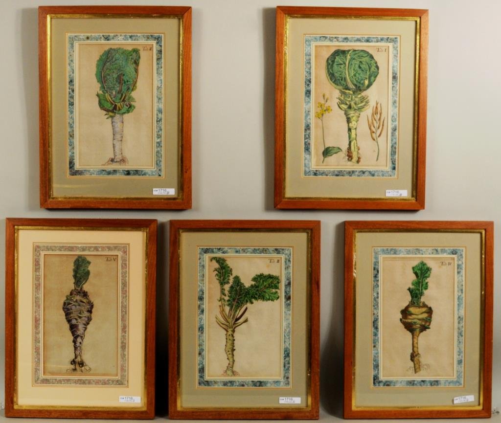 Five Early Framed Botanical Engravings (1 of 6)