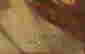 item-49222026=3