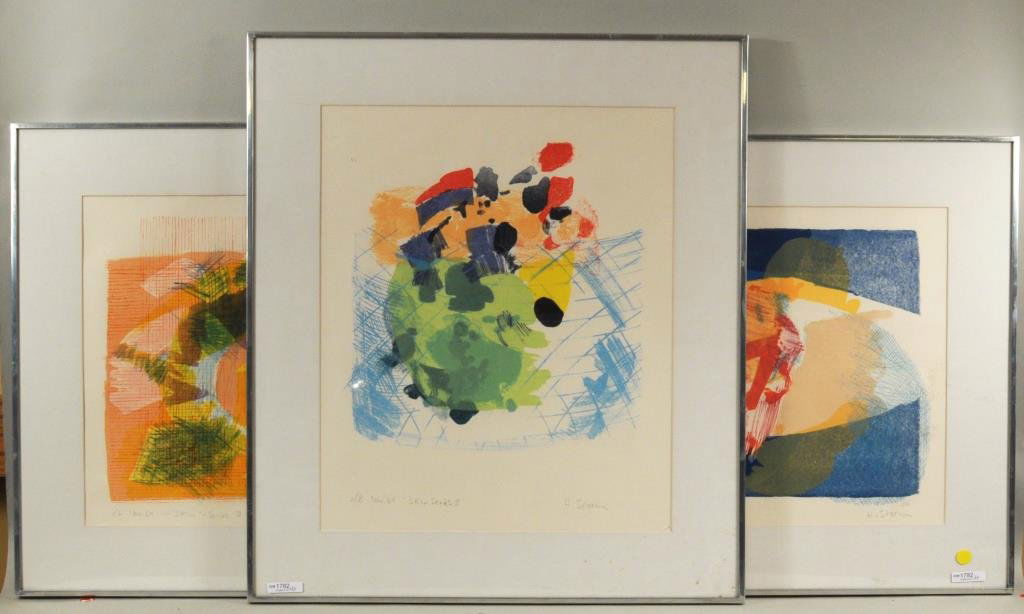 H Storn Skin Series I, II & III Framed Lithographs (1 of 8)