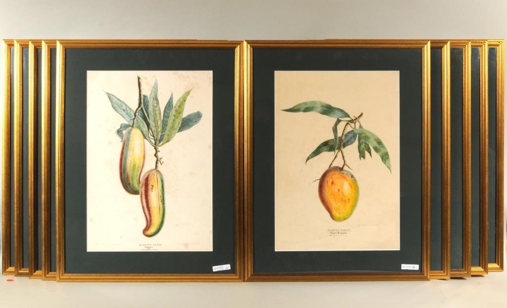 Group Ten French Framed Hand Colored Lithographs (1 of 6)