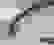 item-50866856=5