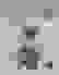 item-50866856=6