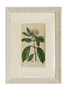 JAMES RIDGWAY, HAND-COLORED COPPERPLATE ENGRAVING