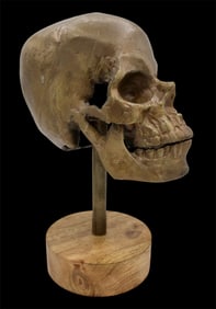 Cast Aluminum Human Skull Model Sculpture