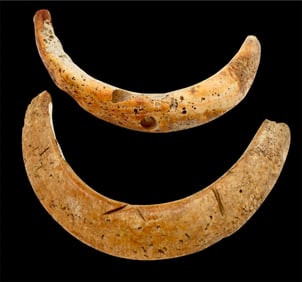 A Pair Spondylus Shell Gorget Collar Pendant