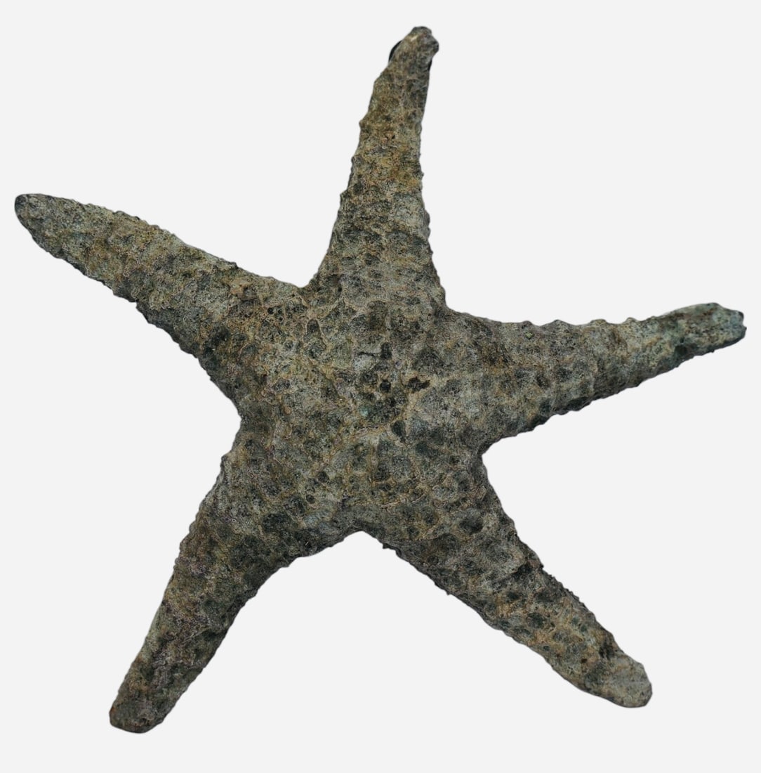 A Fine Bronze Starfish Sculpture: Very fine. With carved designs that make this appear lifelike and authentic. Signed Dan Parker on one side and the other is marked BCC 1998.