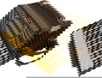 Hohner Accordion