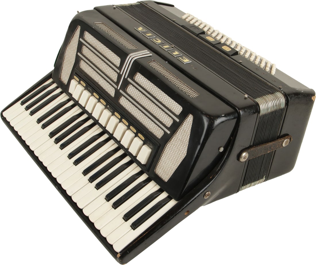 Delicia Accordion: 41 keys, 120 bass. Keyboard 19". 11 treble registers, 3 bass. Black finish with silver grille netting and gold lettering. Made in Czech Republic. Weight 11.6kg. Missing letter and white design at one