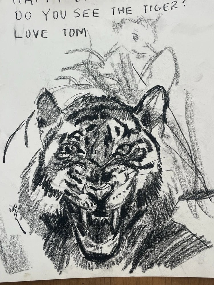 Original Tiger Pencil Drawing Artist Fine Washington DC Artist Tom Morris: Tom Morris is interested in the hidden patterns of nature as an organizing principal for painting and design. Morris has had one person shows and participated in numerous group shows throughout the Un
