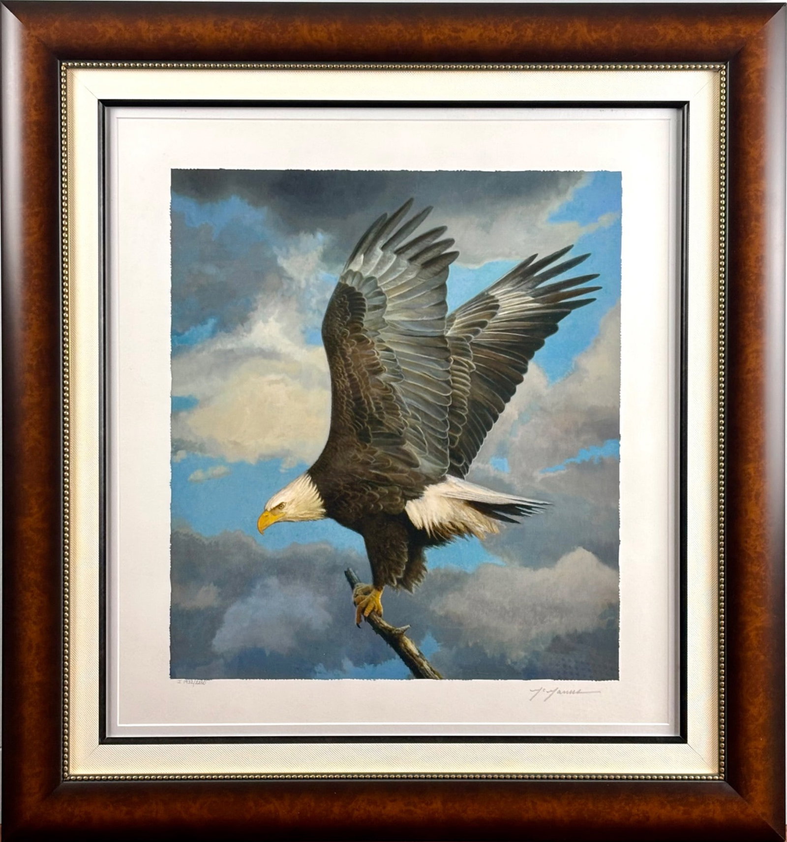 Pat Mcmanus ‘Inherit the Wind’ Giclee on Paper, COA (1 of 14)