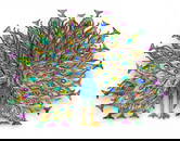 Jay Strongwater Stanton Fan Tail Peacock in Original Box