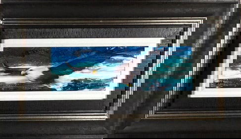 Ashton Howard Freedom Dye Sublimation on Aluminum