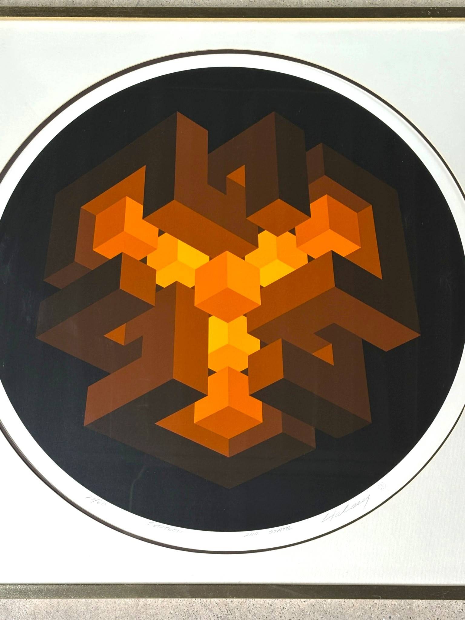 Brian Halsey Op Art Serigraph Septron 2nd State (1 of 10)