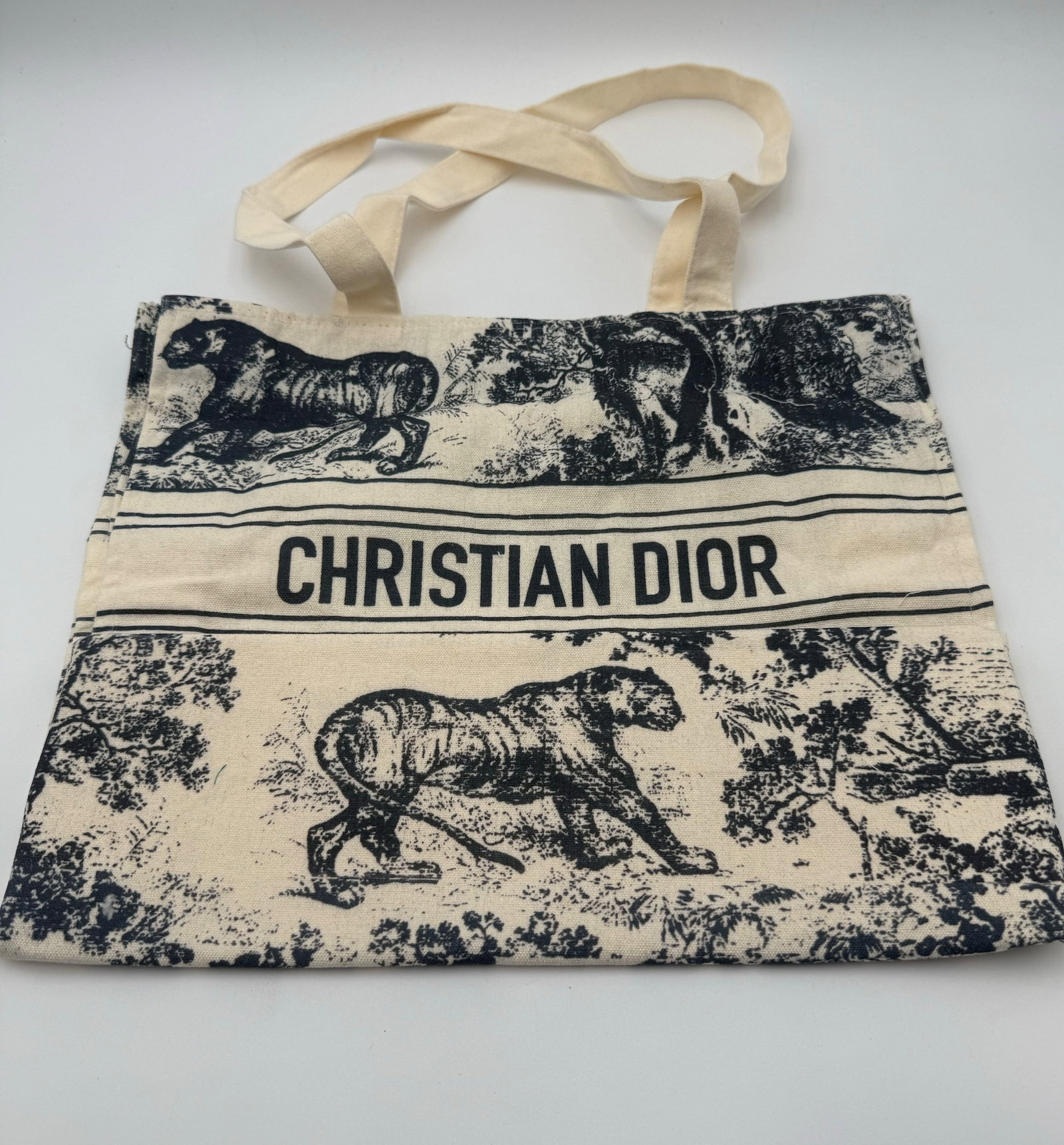 Blue Christian Dior Tote Bag (1 of 4)