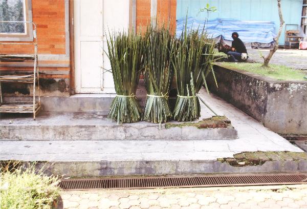 William Keith Haugse: Three Sheaves 2008: 16.5h x 10.5w inches, photograph printed with pigment in on archival paper, edition 1/10, signed, dated on verso WILLIAM HAUGSE is a multi-faceted artist, expressing his artistry as a film editor, dir