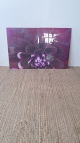 Diptych Art Print of Flower