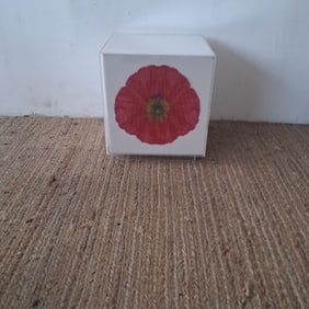 Art Print in Display Cube