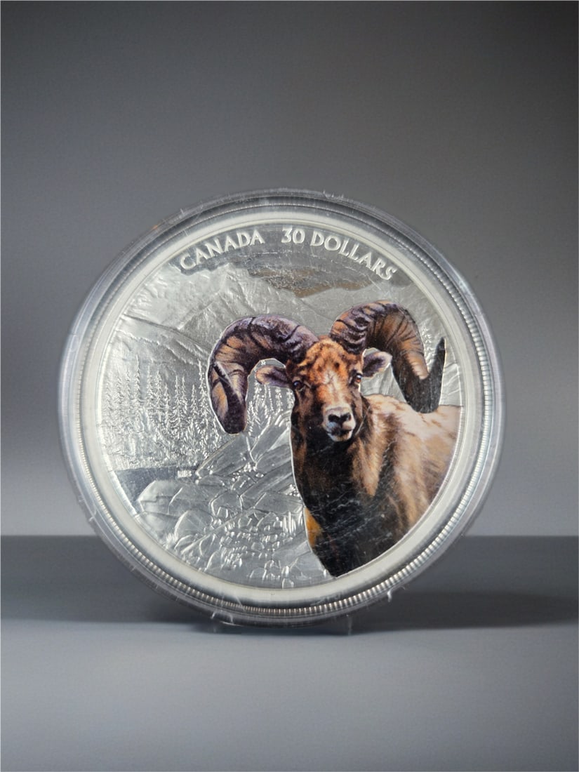 2020 Canadian 2 oz Imposing icons $30 Coin: Very Nice Coin. Looks to be Mint State