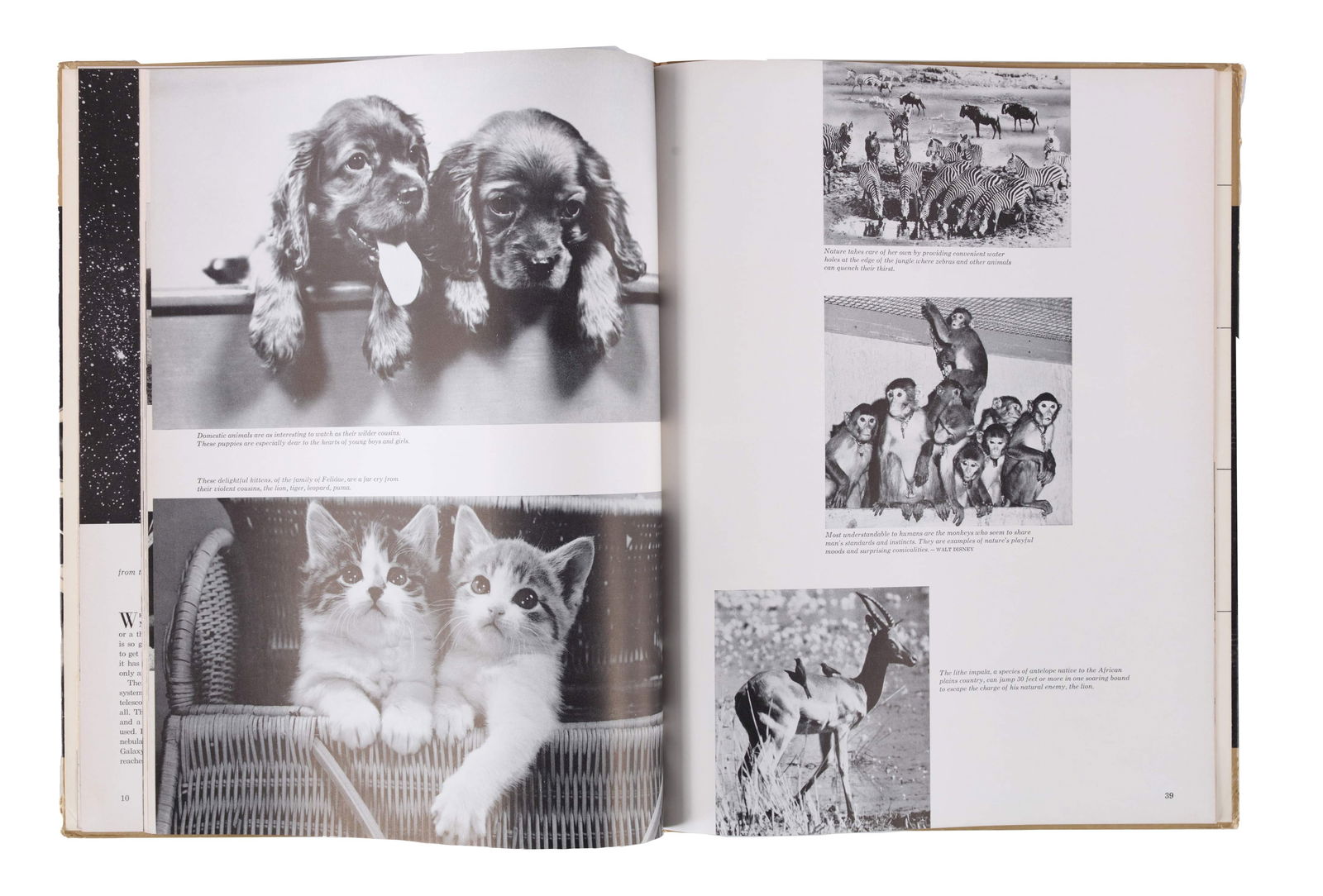 WALT DISNEY, WISDOM MAGAZINE (DECEMBER 1959) (1 of 2)