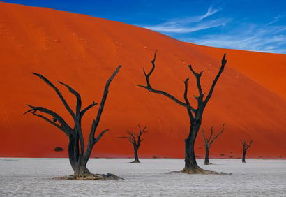 Peter Lik "African Dream"