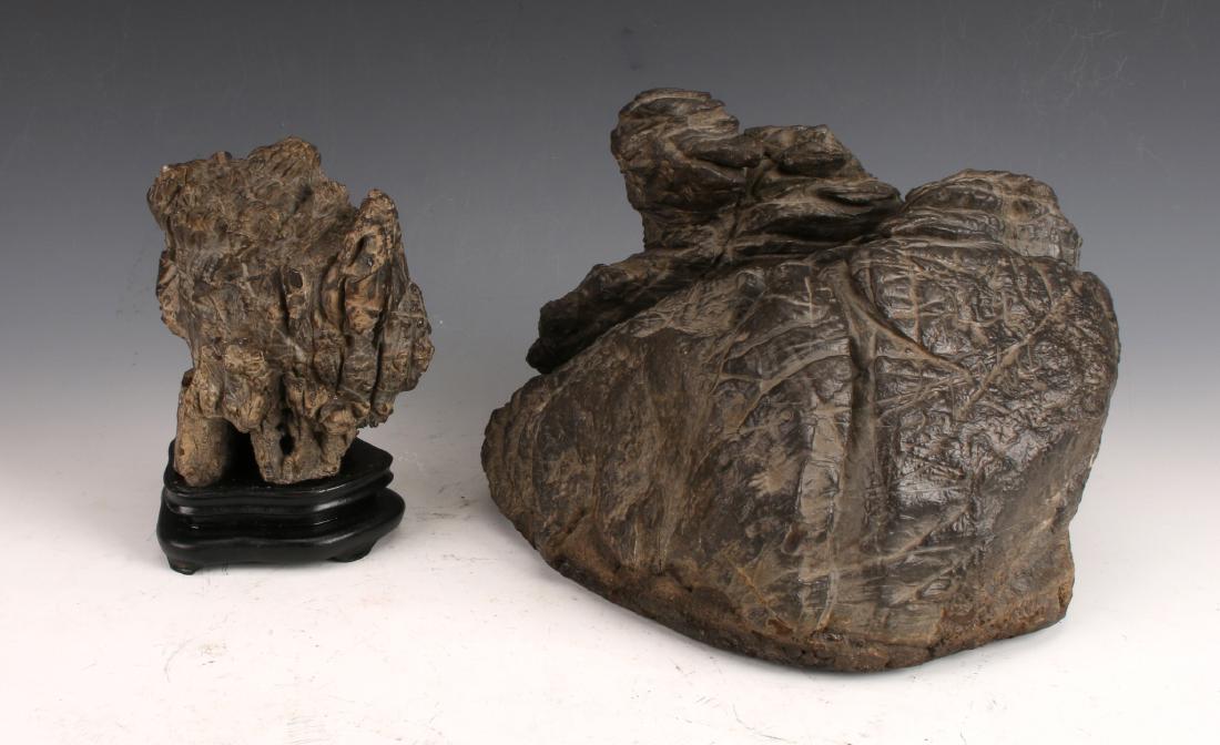 TWO SCHOLAR'S STONES (1 of 6)