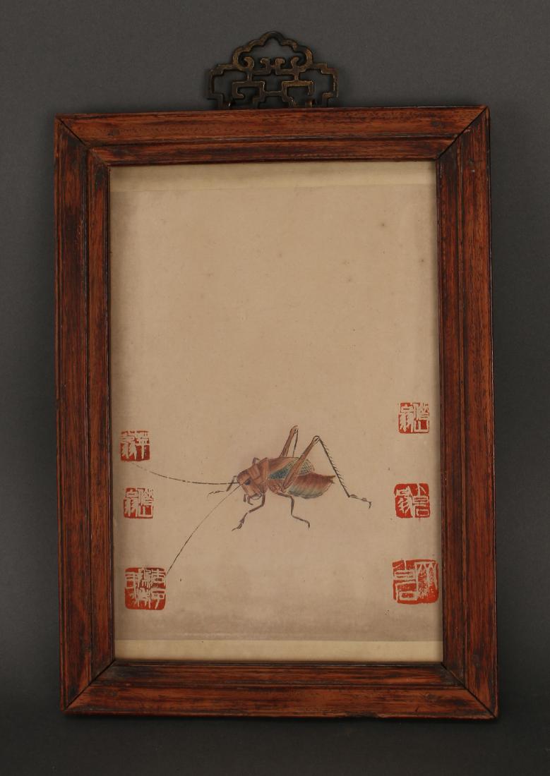 FRAMED CRICKET WATERCOLOR (1 of 4)