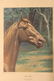 3 ASSORTED PRINTS C.O LONGABAUGH - 6