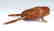 CARVED WOODEN FOLK ART FROG - 4