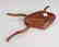 CARVED WOODEN FOLK ART FROG - 7