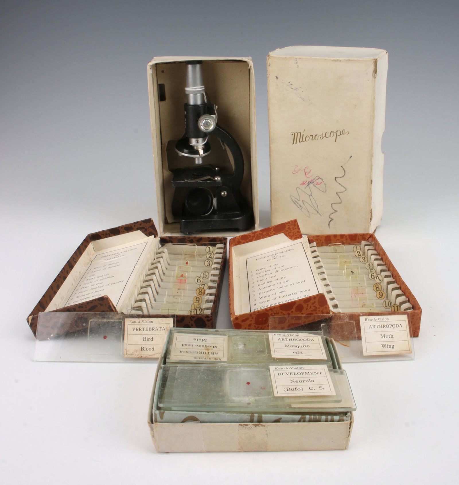 VINTAGE PREPARED GLASS SLIDES W MINI MICROSCOPE: VINTAGE PREPARED GLASS SLIDES W MINI MICROSCOPE: Two boxes Guralsky of prepared animal and insect slides, made in Japan. Ken-a-Vision prepared slides. Microscope made in Japan. Lovely piece for any sc