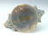 CARVED AGATE BUFFALO HEAD HANDLED BOWL - 5