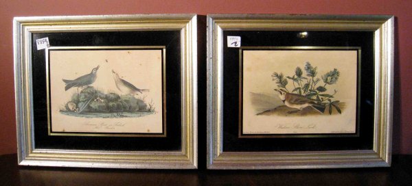J. J. Audubon Two Octavo Prints: Audubon, John James (after), colored lithographs, one (The Western Shore Lark) printed by Bowen, probably from octavo editions of Audubon's ''The Viviparous Quadrupeds of North America.'' Other "Ameri