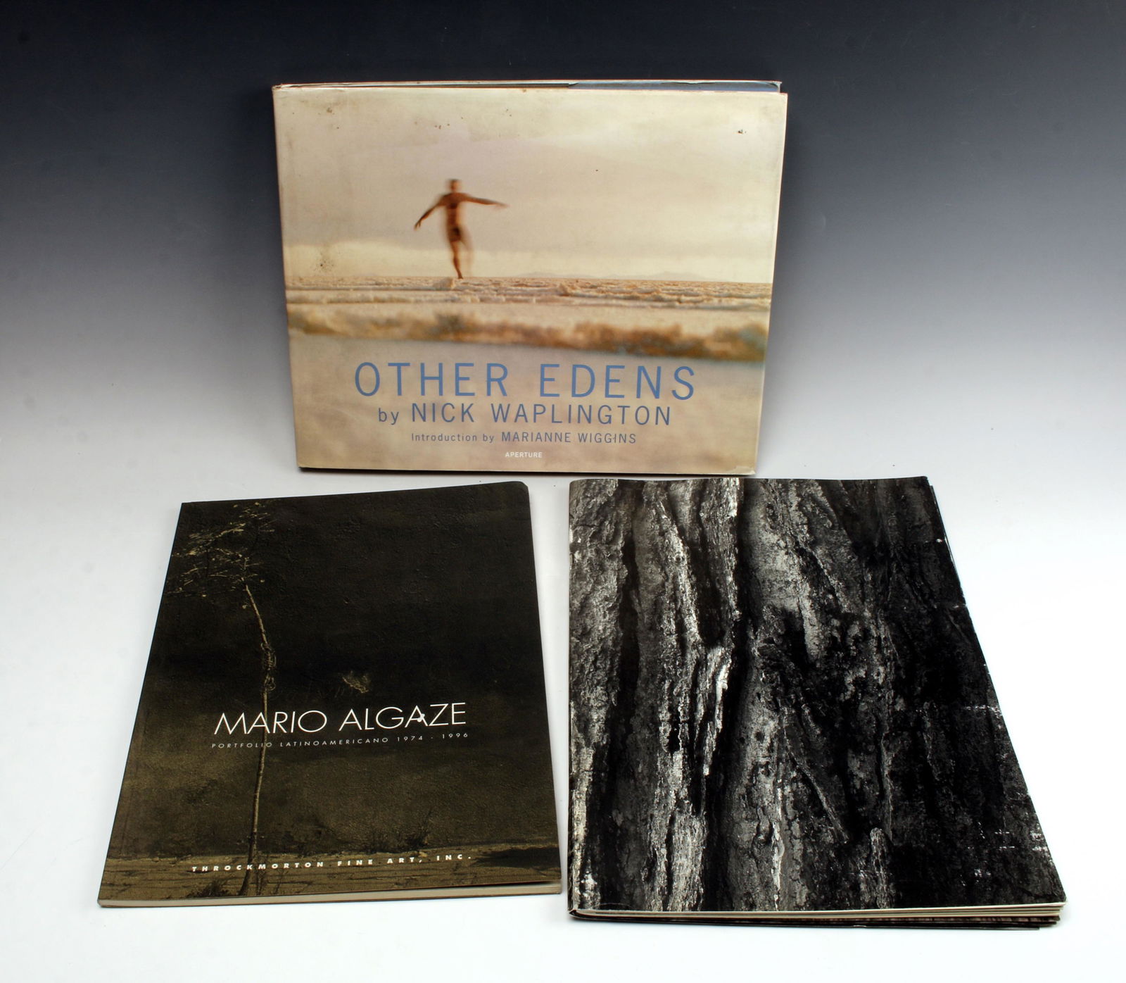 NICK WAPLINGTON, ALGAZE, SEAN KERNAN PHOTO BOOKS: Nick Waplington, Other Edens, Aperture 1994 Mario Algaze, Portfolio LatinoAmericano 1974-1996, Throckmorton Fine Art, 1997. Sean Kernan, Among Trees, Rhythm and the Forest, Signed copy. 13" x 9 1
