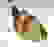 item-101315259=2